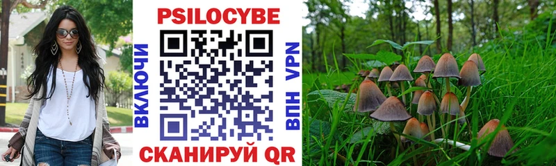 Купить  Гороховец  Псилоцибиновые грибы Psilocybine cubensis 